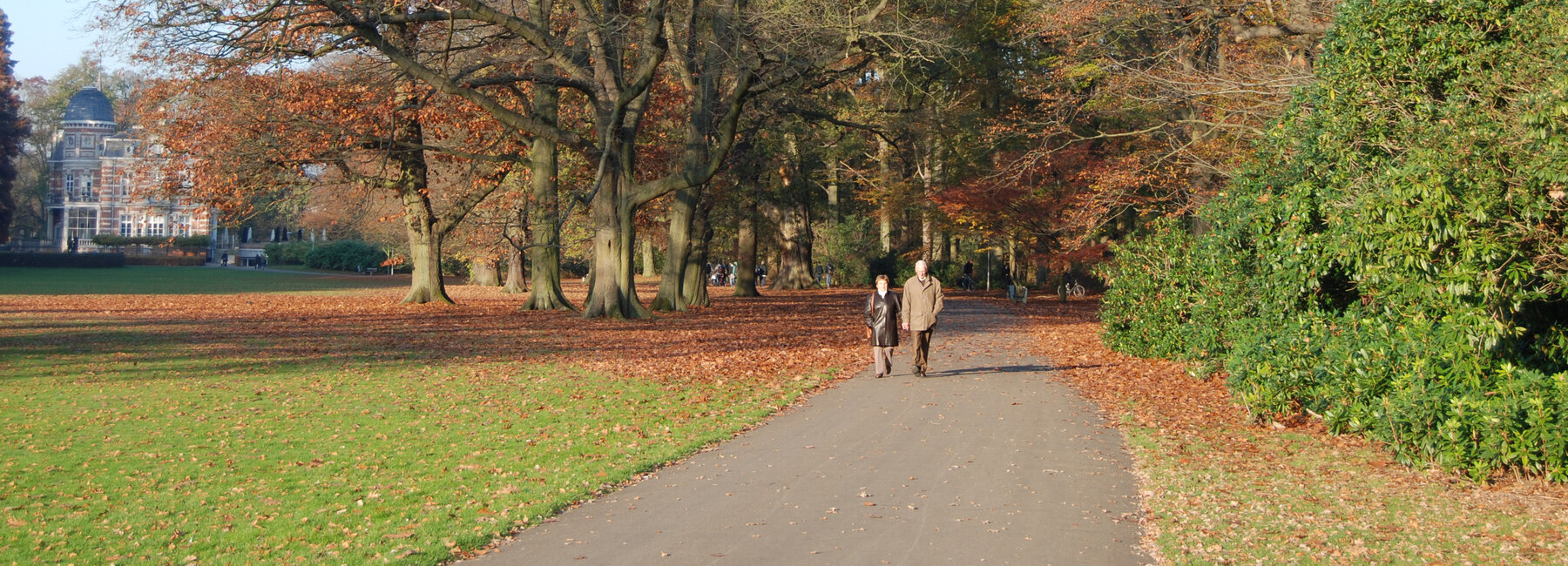 herfst gemeentepark