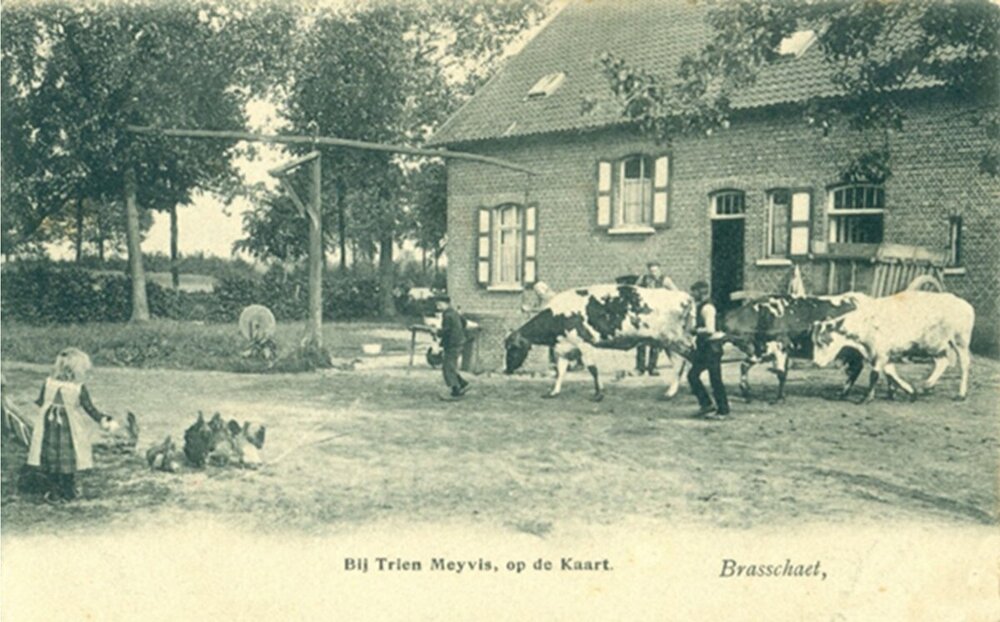 Boerderijen op de Kaart 5