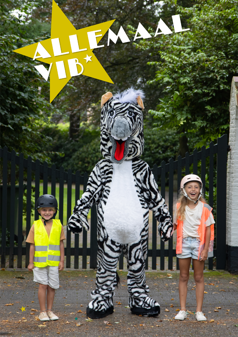 Allemaal VIB, affiche oversteken
