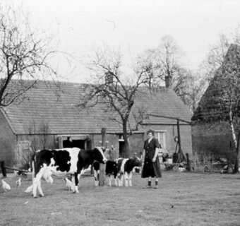 Boerderijen op de Kaart 2