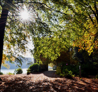 Park De Mik in de herfst