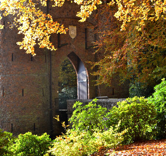 Park De Mik in de herfst