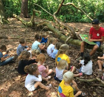 Sprookjes in de Efteling
