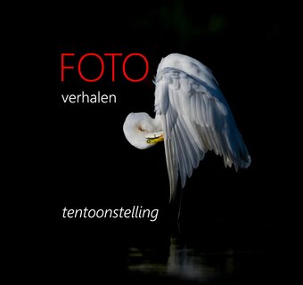Foto Verhalen - Tentoonstelling
