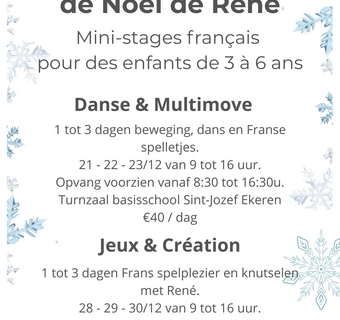 Les petits camps de noël de René