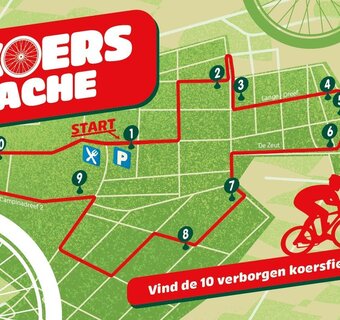 Koerscache