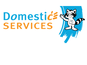 Domestic Services 
