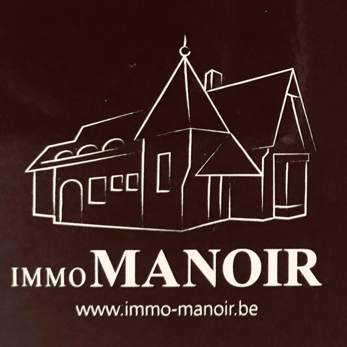 Immo Manoir 