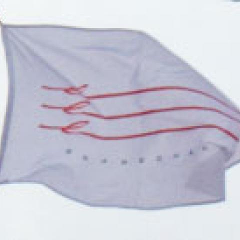 wapenschild, vlag en logo